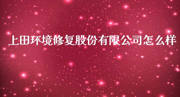 上田环境修复股份有限公司怎么样_https://m.fansifence.com_个股行情_第1张