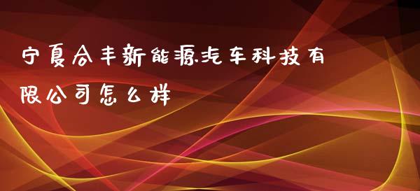 宁夏合丰新能源汽车科技有限公司怎么样_https://m.fansifence.com_贵金属行情_第1张
