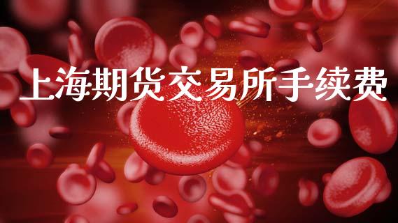 上海期货交易所手续费_https://m.fansifence.com_贵金属行情_第1张