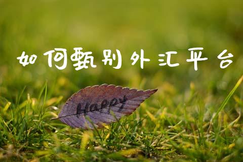 如何甄别外汇平台_https://m.fansifence.com_公募基金_第1张