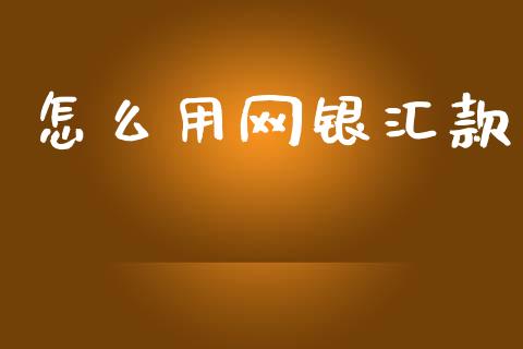 怎么用网银汇款_https://m.fansifence.com_消费金融_第1张
