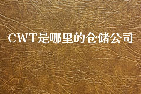 CWT是哪里的仓储公司_https://m.fansifence.com_消费金融_第1张