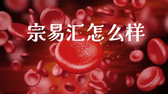 宗易汇怎么样_https://m.fansifence.com_公募基金_第1张