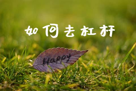 如何去杠杆_https://m.fansifence.com_消费金融_第1张