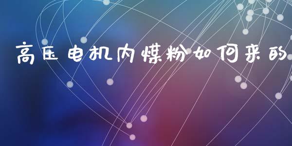 高压电机内煤粉如何来的_https://m.fansifence.com_消费金融_第1张