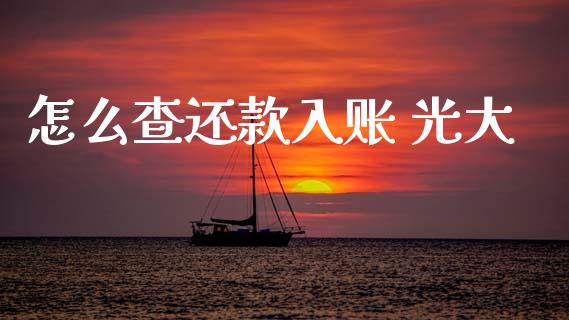 怎么查还款入账 光大_https://m.fansifence.com_消费金融_第1张