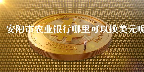 安阳市农业银行哪里可以换美元呢_https://m.fansifence.com_个股行情_第1张