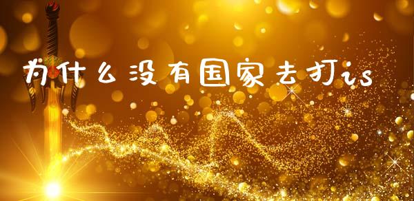 为什么没有国家去打is_https://m.fansifence.com_公募基金_第1张