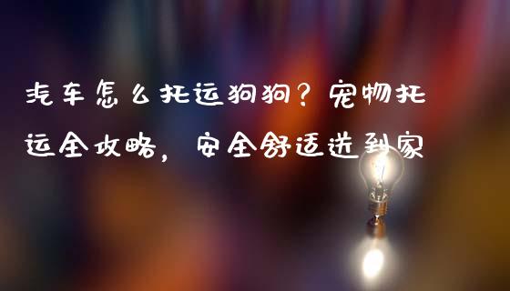 汽车怎么托运狗狗？宠物托运全攻略，安全舒适送到家_https://m.fansifence.com_消费金融_第1张