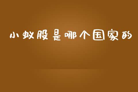小蚁股是哪个国家的_https://m.fansifence.com_消费金融_第1张