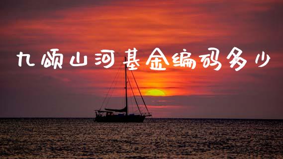 九颂山河基金编码多少_https://m.fansifence.com_消费金融_第1张