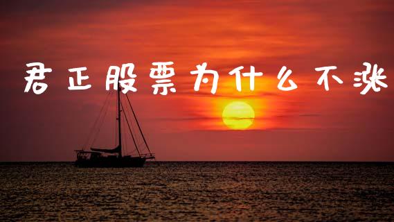 君正股票为什么不涨_https://m.fansifence.com_公募基金_第1张
