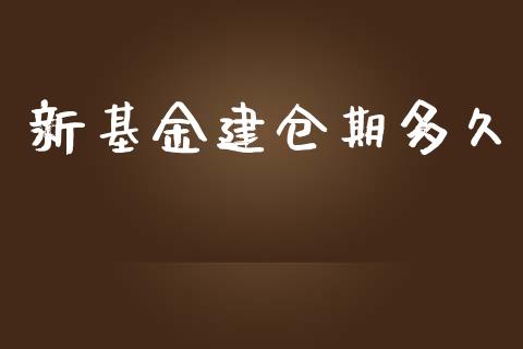 新基金建仓期多久_https://m.fansifence.com_公募基金_第1张