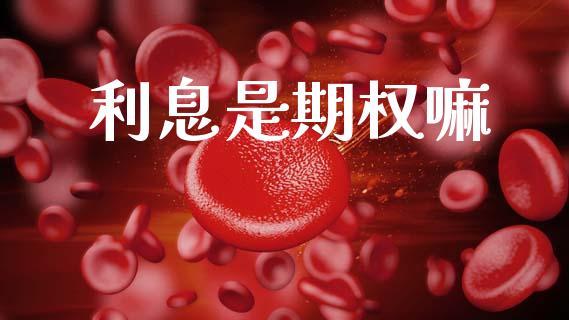 利息是期权嘛_https://m.fansifence.com_公募基金_第1张