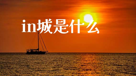 in城是什么_https://m.fansifence.com_公募基金_第1张