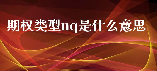 期权类型nq是什么意思_https://m.fansifence.com_个股行情_第1张
