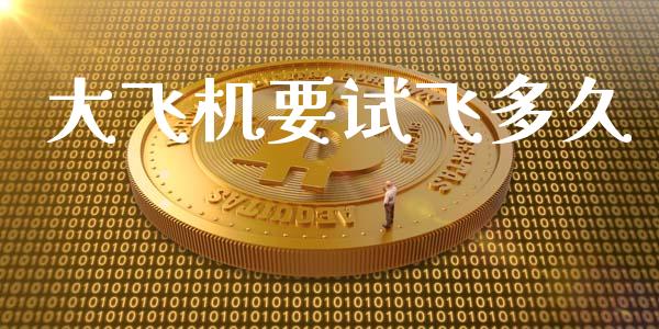 大飞机要试飞多久_https://m.fansifence.com_个股行情_第1张