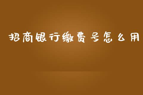 招商银行缴费号怎么用_https://m.fansifence.com_个股行情_第1张