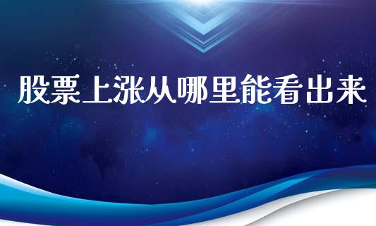 股票上涨从哪里能看出来_https://m.fansifence.com_公募基金_第1张