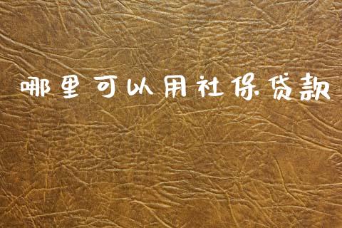 哪里可以用社保贷款_https://m.fansifence.com_公募基金_第1张