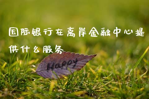 国际银行在离岸金融中心提供什么服务_https://m.fansifence.com_贵金属行情_第1张