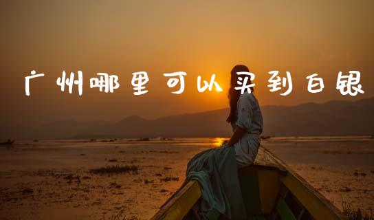 广州哪里可以买到白银_https://m.fansifence.com_消费金融_第1张