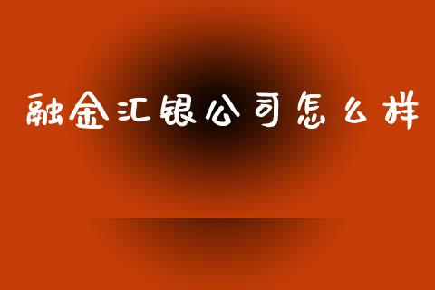 融金汇银公司怎么样_https://m.fansifence.com_公募基金_第1张