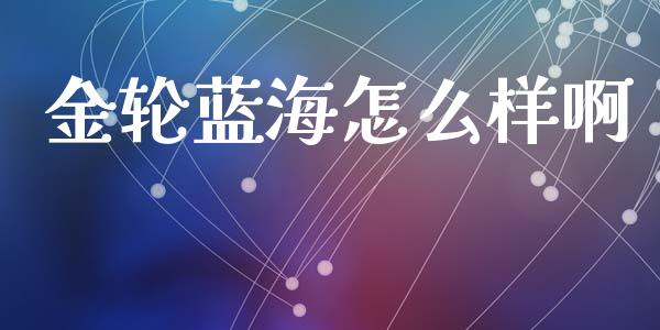 金轮蓝海怎么样啊_https://m.fansifence.com_公募基金_第1张