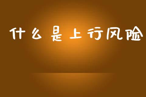什么是上行风险_https://m.fansifence.com_贵金属行情_第1张