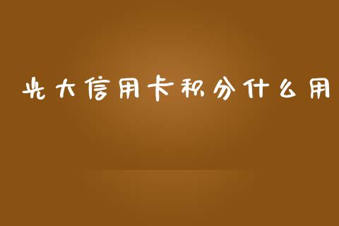 光大信用卡积分什么用_https://m.fansifence.com_个股行情_第1张