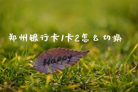郑州银行卡1卡2怎么切换_https://m.fansifence.com_公募基金_第1张