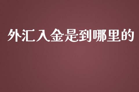 外汇入金是到哪里的_https://m.fansifence.com_贵金属行情_第1张