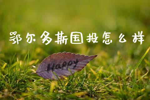 鄂尔多斯国投怎么样_https://m.fansifence.com_公募基金_第1张
