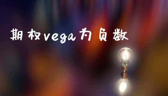 期权vega为负数_https://m.fansifence.com_贵金属行情_第1张