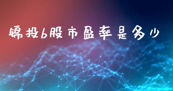 锦投b股市盈率是多少_https://m.fansifence.com_贵金属行情_第1张