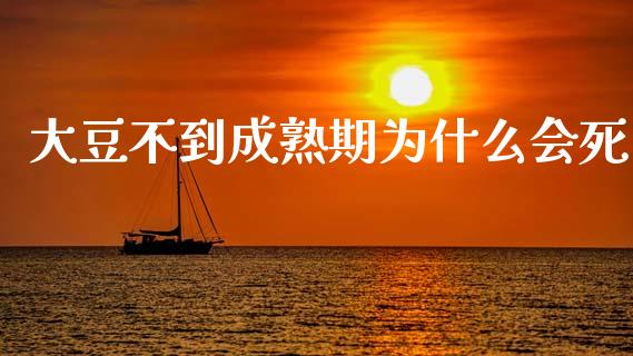 大豆不到成熟期为什么会死_https://m.fansifence.com_消费金融_第1张
