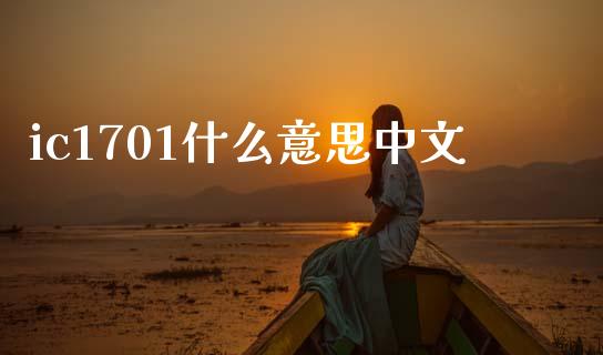 ic1701什么意思中文_https://m.fansifence.com_公募基金_第1张