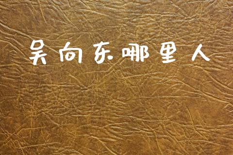 吴向东哪里人_https://m.fansifence.com_个股行情_第1张