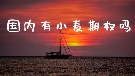 国内有小麦期权吗_https://m.fansifence.com_消费金融_第1张