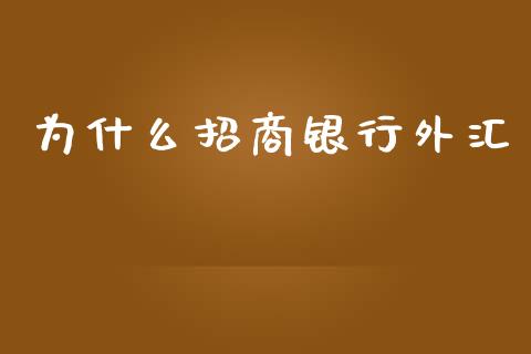 为什么招商银行外汇_https://m.fansifence.com_公募基金_第1张