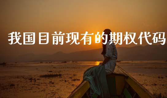 我国目前现有的期权代码_https://m.fansifence.com_贵金属行情_第1张