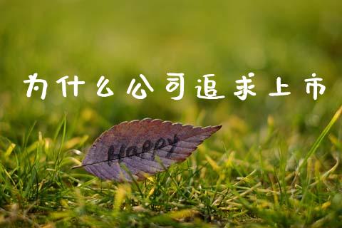 为什么公司追求上市_https://m.fansifence.com_消费金融_第1张