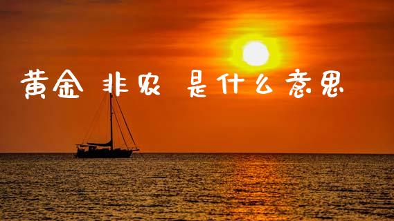 黄金 非农 是什么意思_https://m.fansifence.com_消费金融_第1张