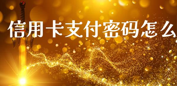 信用卡支付密码怎么_https://m.fansifence.com_消费金融_第1张