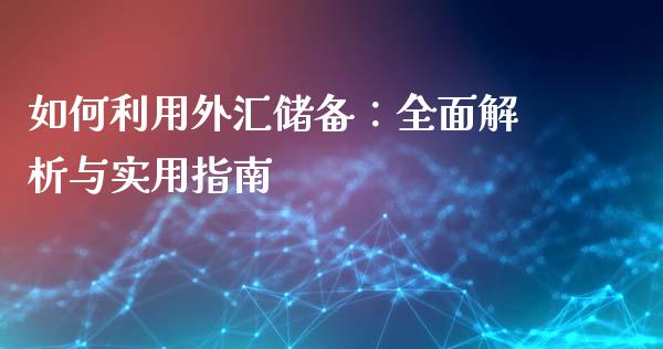 如何利用外汇储备：全面解析与实用指南_https://m.fansifence.com_个股行情_第1张