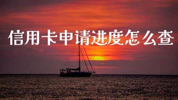 信用卡申请进度怎么查_https://m.fansifence.com_公募基金_第1张