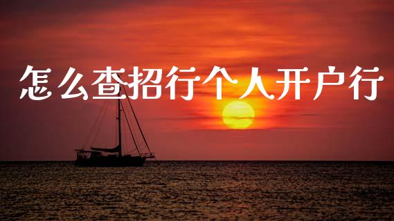 怎么查招行个人开户行_https://m.fansifence.com_个股行情_第1张