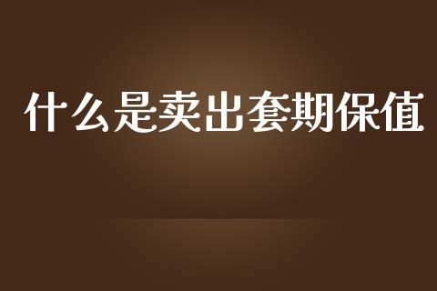 什么是卖出套期保值_https://m.fansifence.com_贵金属行情_第1张