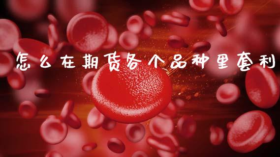 怎么在期货各个品种里套利_https://m.fansifence.com_公募基金_第1张