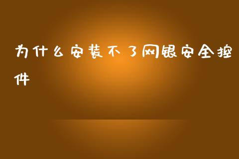 为什么安装不了网银安全控件_https://m.fansifence.com_消费金融_第1张